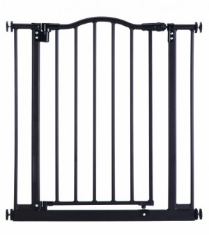 dog gate